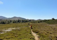 Trail du GR20 - Plateau du Cuscione